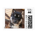 WCB Puppy, USPS 2 postage