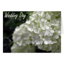 WD Bouquet Cards