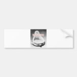 WDNNSW BUMPER STICKERS