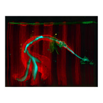 WDV - 046 - Stripe-Split Spline posters