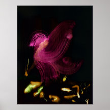 WDV - 057 - Sambal Poster