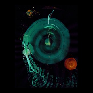 WDV - 140 - Life Vortex