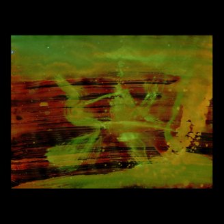 WDV - 195 - Chron