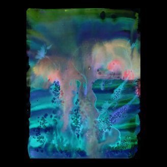 WDV - 264 - Wading Dreams Print