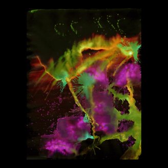 WDV - 266 - Bobble Whet Print