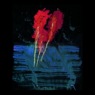 WDVMM - 0009 - Waterplants