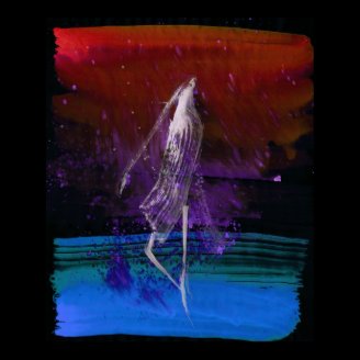 WDVMM - 0014 - Fire Analytics