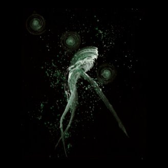 WDVMM - 0019 - Flow