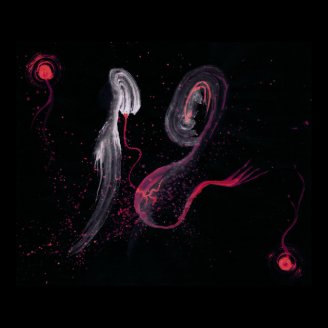 WDVMM - 0020 - Quickening