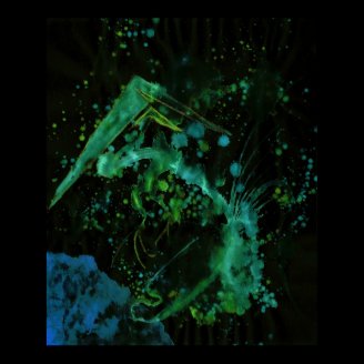 WDVMM - 0029 - Flightmind