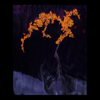 WDVMM - 0030 - Shadow Rest Print