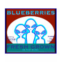 "We 3" Blueberry Crate Label t-shirts