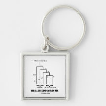 We All Descended From Her (Mitochondrial Eve) Keychain
