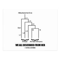 We All Descended From Her (Mitochondrial Eve) Postcard