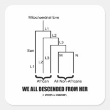 We All Descended From Her (Mitochondrial Eve) Square Stickers