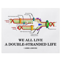 We All Live A Double-Stranded Life (DNA Humor) flyers by wordsunwords We All Live A Double-Stranded Life (DNA Humor) flyers
