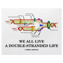We All Live A Double-Stranded Life (DNA Humor) letterhead by wordsunwords We All Live A Double-Stranded Life (DNA Humor) letterhead