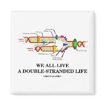 We All Live A Double-Stranded Life (DNA Humor) magnets by wordsunwords We All Live A Double-Stranded Life (DNA Humor) magnets