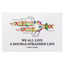 We All Live A Double-Stranded Life (DNA Humor) stationery