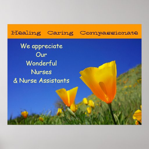We Appreciate Wonderful Nurses CNAs Nursing poster Zazzle