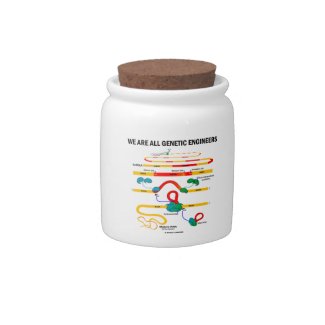 We Are All Genetic Engineers (Gene Splicing) Candy Jar