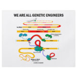 We Are All Genetic Engineers (RNA Splicing) flyers