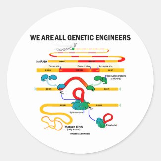 We Are All Genetic Engineers (RNA Splicing) Round Stickers