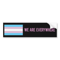 We Are Everywhere sticker (transgender) bumper stickers