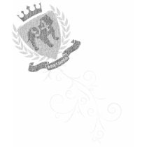 We Are Kings (for light garments) t-shirts