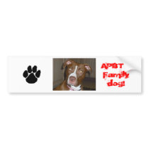 We are Lovers NOT Fighters! Bumper Sticker