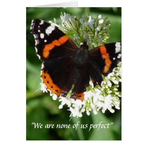 "We are none of us perfect..." Greeting Cards