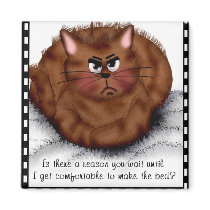 We are not amused! magnets