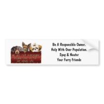 We Are Not Disposable bumper stickers