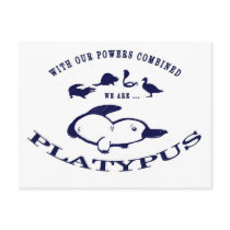 We are Platypus Post Card