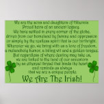 We Are the Irish! Poster Print