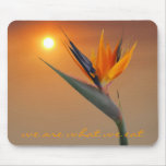 we are what we eat mouse pads