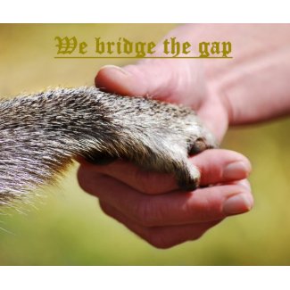 We Bridge The Gap mousepad