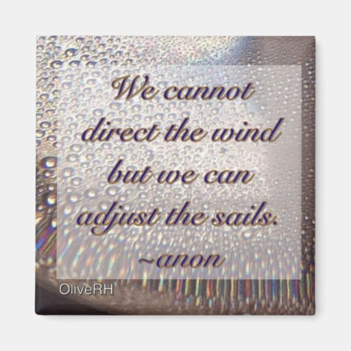 We Cannot Direct the Wind Fridge Magnet