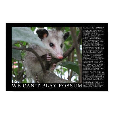 We Can't Play Possum Poster by irregulargoods