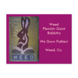 We Grow Fatties! Postcard