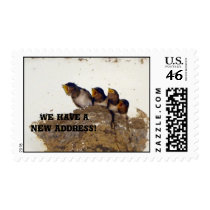 We have a new address! stamps