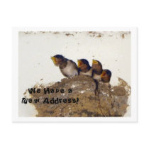 We Have a New Address! postcards by riverme We Have a New Address! postcards