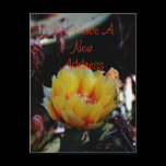 We Have A New Address Postcard postcards