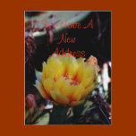 We Have A New Address Postcard