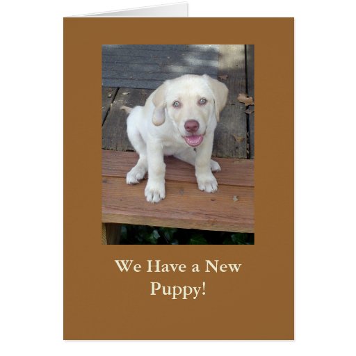 We Have a New Puppy Dog Announcement Customizable Stationery Note Card
