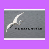 WE HAVE MOVED postcards