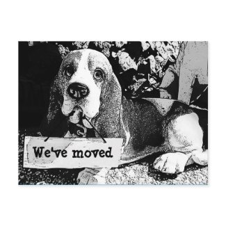 We Have Moved Postcard postcard