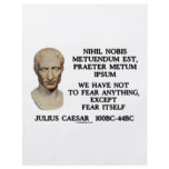 We Have Not To Fear Anything, Except Fear Itself flyers