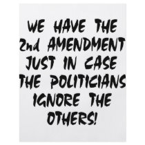 We Have The 2nd Amendment Just In Case Flyer