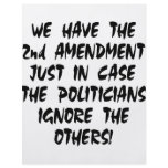 We Have The 2nd Amendment Just In Case flyers